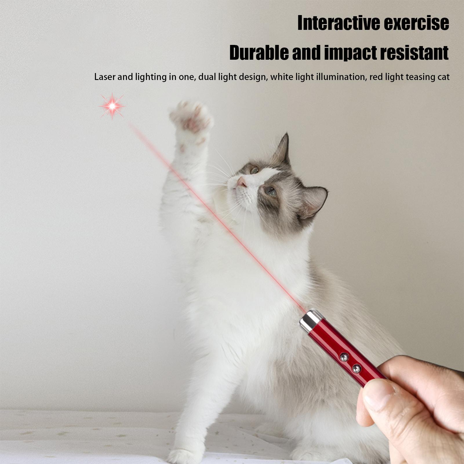 Hunting Cat Toys Pet Cat Teasi - مراجعة Industrial Handheld Laser وسعره